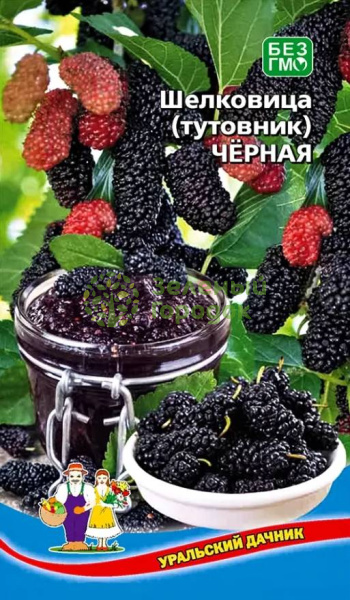 Шелковица (тутовник) Чёрная УД 0,15г Шелковица (тутовник) Чёрная УД 0,15г