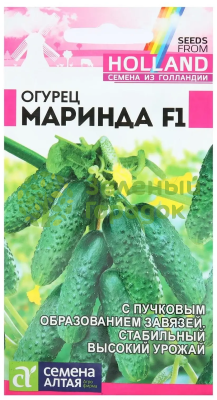 Огурец Маринда F1 Seminis (Голландские Семена) SA 5шт Огурец Маринда F1 Seminis (Голландские Семена) SA 5шт