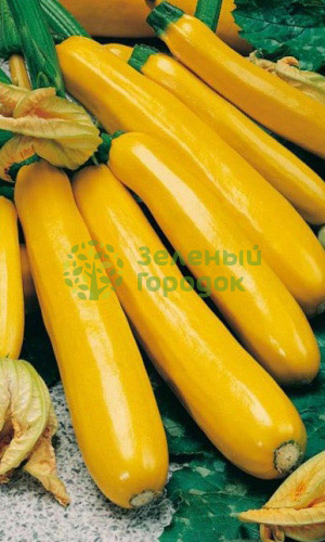 Кабачок Золотинка цукини (Марс) белый пакет 2г