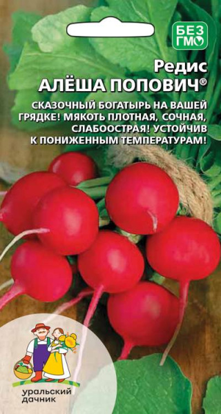 Редис Алеша Попович УД Редис Алеша Попович УД