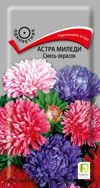 Астра Миледи смесь окрасок (ЦВ) 0,1г Астра Миледи смесь окрасок (ЦВ) 0,1г