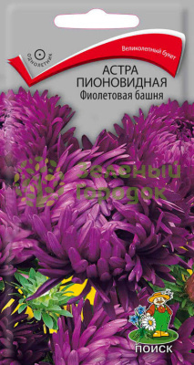 Астра пионовидная Фиолетовая башня (ЦВ) 0,3г Астра пионовидная Фиолетовая башня (ЦВ) 0,3г