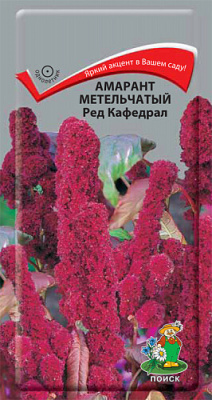 Амарант метельчатый Ред Кафедрал (ЦВ) 0,1г Амарант метельчатый Ред Кафедрал (ЦВ) 0,1г