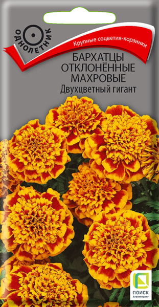 Бархатцы отклоненные махровые Двухцветный гигант (ЦВ) 0,4г