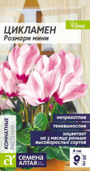 Цикламен Розмари мини SA 3шт Цикламен Розмари мини SA 3шт
