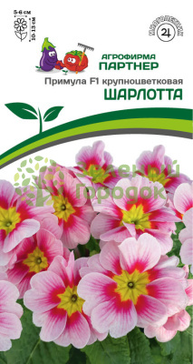 Примула крупноцветковая ШАРЛОТТА F1 5шт в амп