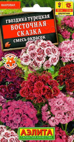 Гвоздика бородатая (турецкая) Восточная сказка, смесь окрасок АЭ 0,5г Гвоздика бородатая (турецкая) Восточная сказка, смесь окрасок АЭ 0,5г