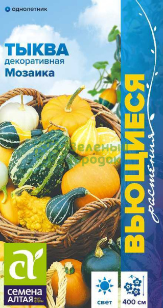 Тыква декоративная Мозаика SA 0,5г
