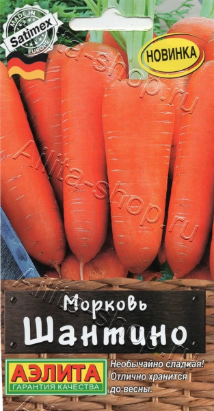 Морковь Шантино АЭ 2г