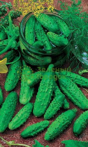 Огурец Верные друзья F1 (Марс) белый пакет 8шт Огурец Верные друзья F1 (Марс) белый пакет 8шт