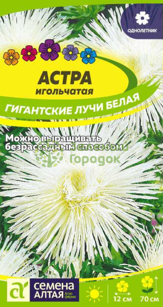 Астра игольчатая Гигантские лучи Белая SA 0,2г Астра игольчатая Гигантские лучи Белая SA 0,2г