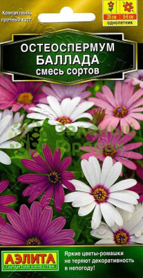 Остеоспермум Баллада, смесь АЭ 10шт