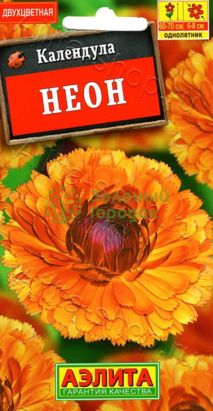 Календула Неон АЭ 0,5г
