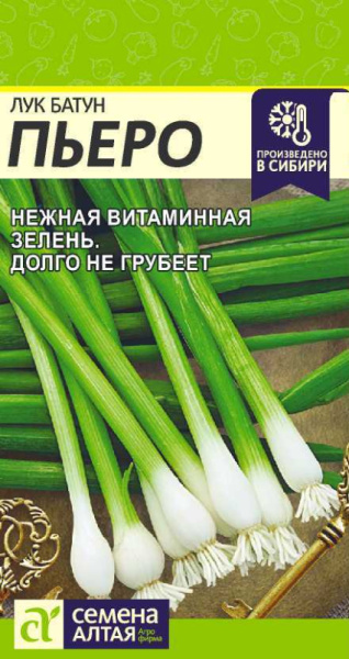 Лук батун Пьеро SA 1г