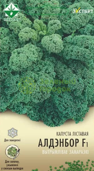 Капуста листовая Олденбор F1 Нидерланды 12шт (Эксперт)