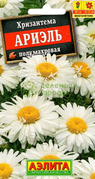 Хризантема Ариэль АЭ 0,1г
