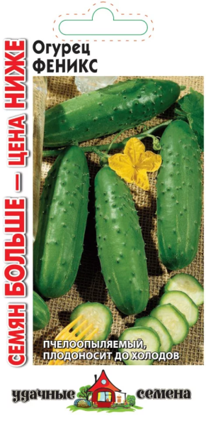 Огурец Феникс Удачные семена, Семян больше ГВ 1г Огурец Феникс Удачные семена, Семян больше ГВ 1г