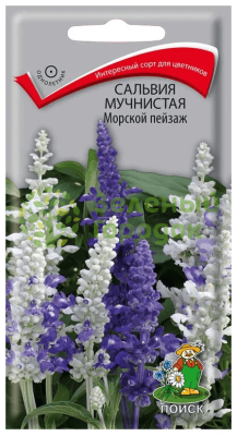 Сальвия мучнистая Морской пейзаж (ЦВ) 10шт Сальвия мучнистая Морской пейзаж (ЦВ) 10шт