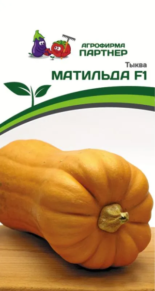 Тыква МАТИЛЬДА F1 5шт Тыква МАТИЛЬДА F1 5шт
