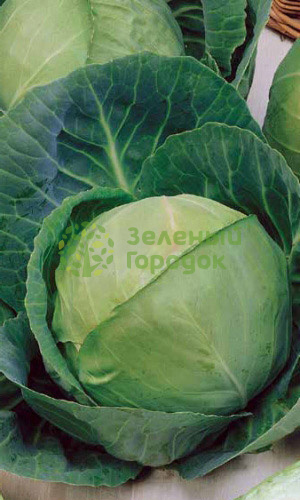 Капуста б/к Надежда (Марс) белый пакет 0,5г