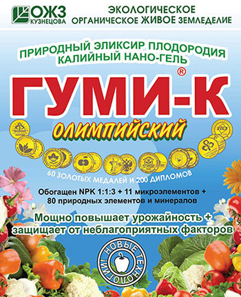 Гуми-К калийный нано-гель паста 300 гр Гуми-К калийный нано-гель паста 300 гр