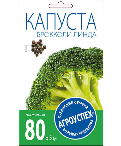 Капуста брокколи Линда АУ 0,3г Капуста брокколи Линда АУ 0,3г