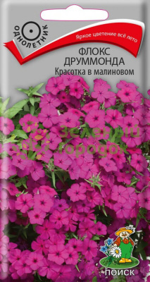 Флокс друммонда Красотка в малиновом (ЦВ) 0,1г Флокс друммонда Красотка в малиновом (ЦВ) 0,1г