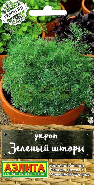 Укроп Зеленый шторм АЭ 1г Укроп Зеленый шторм АЭ 1г