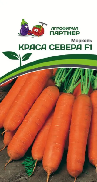 Морковь КРАСА СЕВЕРА F1 0,5г Морковь КРАСА СЕВЕРА F1 0,5г