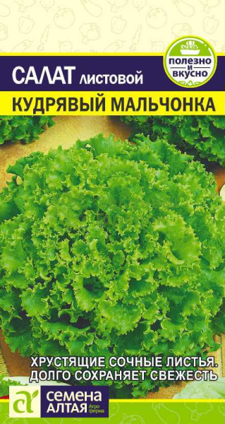 Салат листовой Кудрявый Мальчонка SA 0,5г Салат листовой Кудрявый Мальчонка SA 0,5г