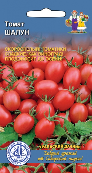 Томат Шалун УД
