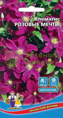 Клематис Розовые Мечты УД 5шт