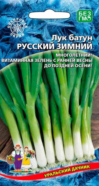 Лук батун Русский зимний УД Лук батун Русский зимний УД