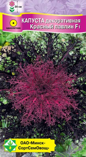 Капуста декоративная Красный павлин F1 МССО 7шт Капуста декоративная Красный павлин F1 МССО 7шт