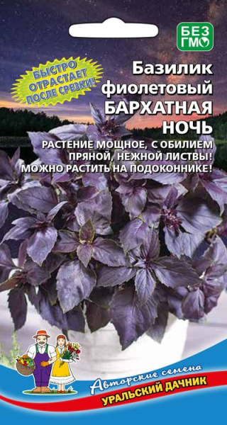 Базилик фиолетовый Бархатная ночь УД Базилик фиолетовый Бархатная ночь УД