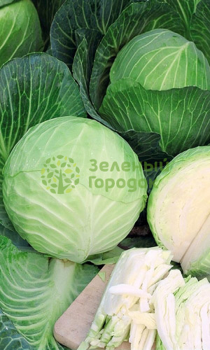 Капуста б/к Парус (Марс) белый пакет 0,3г