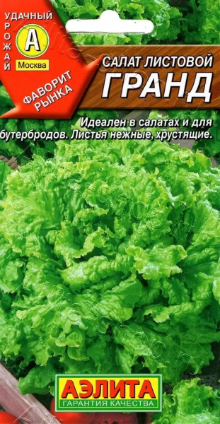 Салат Гранд листовой АЭ 0,5г Салат Гранд листовой АЭ 0,5г