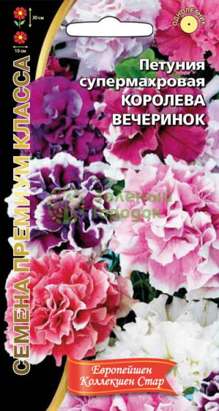 Петуния Королева Вечеринок супермахровая УД 6шт Петуния Королева Вечеринок супермахровая УД 6шт