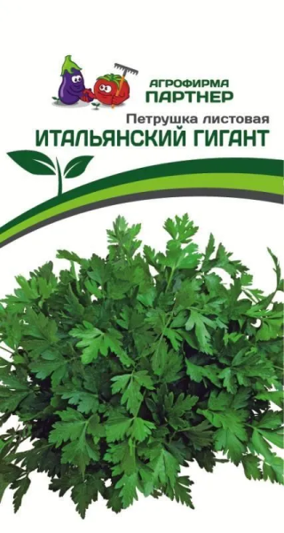 Петрушка ИТАЛЬЯНСКИЙ ГИГАНТ листовая 2г Петрушка ИТАЛЬЯНСКИЙ ГИГАНТ листовая 2г