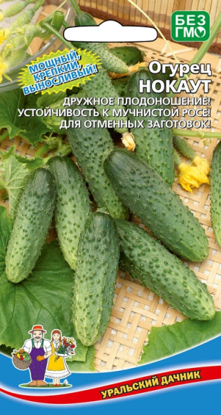 Огурец Нокаут УД 12шт Огурец Нокаут УД 12шт