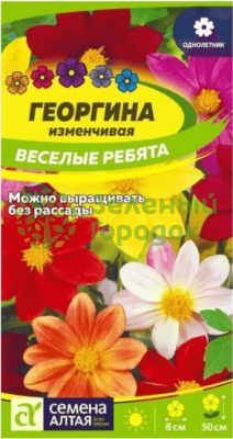 Георгина Веселые Ребята SA 0,2г