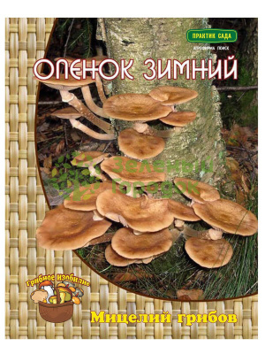 Опенок зимний 12шт