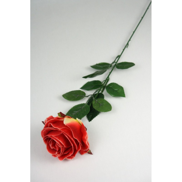 Роза одиночная "Клементина" 70см арт. ЦС146 в асс-те (самовывоз и курьер по Минску)
