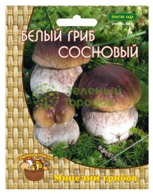 Белый гриб сосновый 60мл