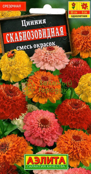 Цинния Скабиозовидная смесь АЭ 0,3г