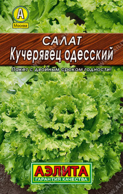 Салат Кучерявец Одесский (лидер) АЭ 0,5г Салат Кучерявец Одесский (лидер) АЭ 0,5г