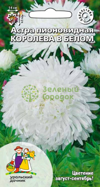 Астра пионовидная Королева гигантов в белом УД 0,2г