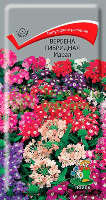 Вербена гибридная Идеал (ЦВ) 0,2г Вербена гибридная Идеал (ЦВ) 0,2г