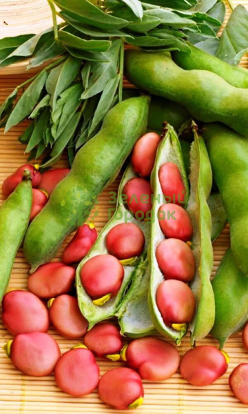 Бобы Велена (Марс) белый пакет 8шт Бобы Велена (Марс) белый пакет 8шт