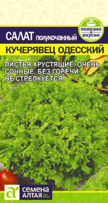 Салат Кучерявец Одесский SA 0,5г Салат Кучерявец Одесский SA 0,5г